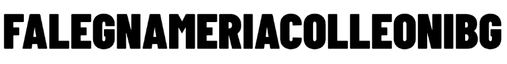 Falegnameriacolleonibg – Home